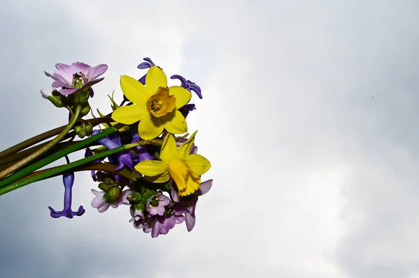 Bellissimo Bouquet Fiori Sfondo Cielo Blu — Foto Stock
