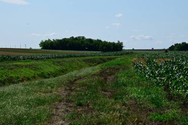 Gökyüzü ve bulutlu kırsal alan