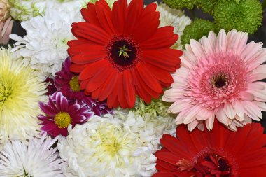 İnanılmaz çiçeklerin açtığı yere yakın.