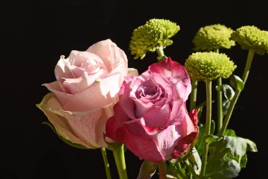 Koyu arkaplanda güzel çiçekler, yaz konsepti, yakın manzara  