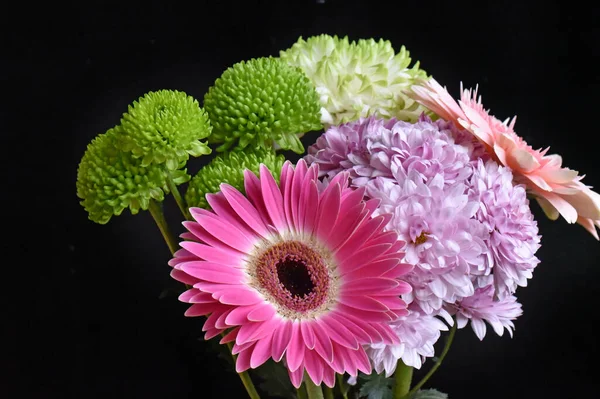 Primer Plano Flores Increíbles Florecen — Foto de Stock