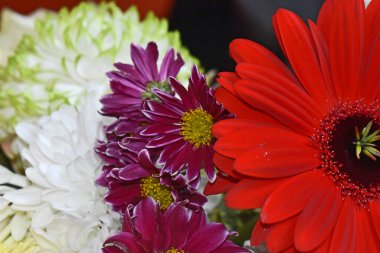 İnanılmaz çiçeklerin açtığı yere yakın.