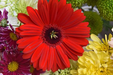 İnanılmaz çiçeklerin açtığı yere yakın.