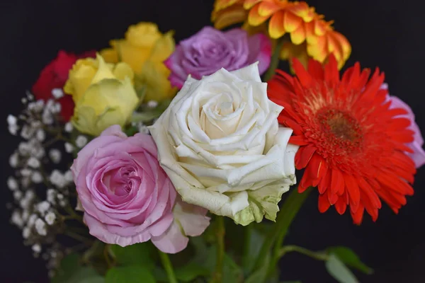 Mooie Bloemen Donkere Achtergrond Zomerconcept Close View — Stockfoto