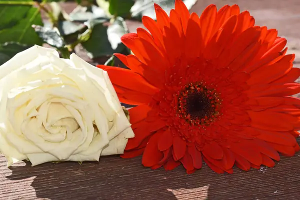 Krásné Květiny Dřevěném Pozadí Letní Koncept Zblízka — Stock fotografie