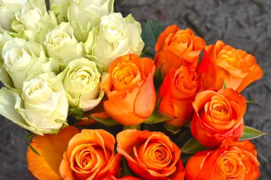 Yazın güneşli bir günde, güzel güller buketi, yakın manzara. 