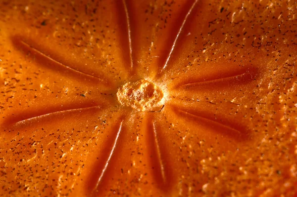 Close Tiro Fruta Laranja Seca — Fotografia de Stock