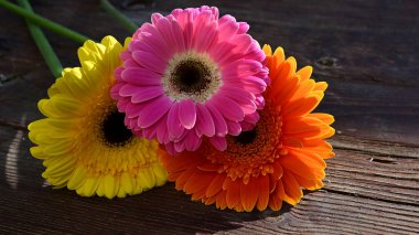 Gerbera çiçekleri ahşap masada.