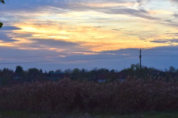 Krajina Krásné Letní Oblohy Mraky Stromy — Stock fotografie