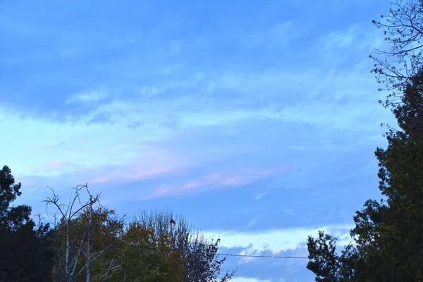 Landskap Den Vackra Sommarhimlen Med Moln Och Träd — Stockfoto