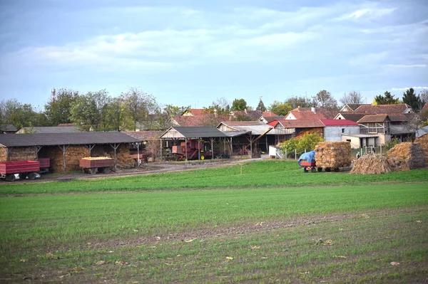 Çiftliği Olan Köy Evleri — Stok fotoğraf
