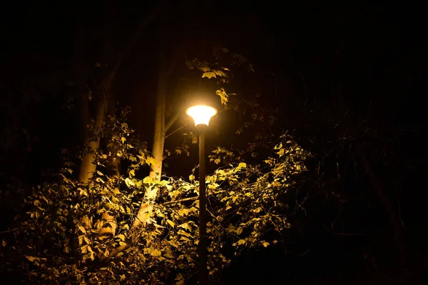 old street lamp at night.