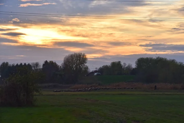 Paesaggio Del Bellissimo Cielo Estivo Con Nuvole Alberi — Foto Stock