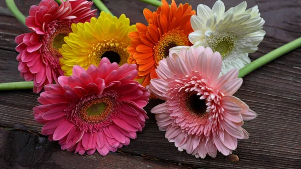 Gerbera Blumen Auf Holztisch — Stockfoto