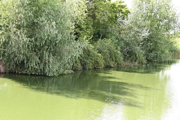 Fluss Fließt Ufer Entlang Mit Grüner Vegetation Bei Sonnigem Tag — Stockfoto