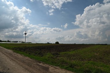 bulutlu gökyüzü altında yeşil alan