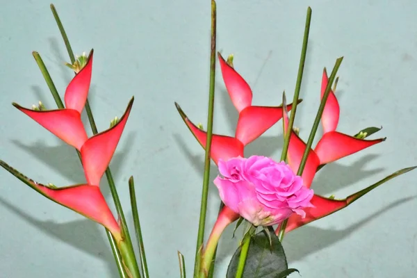 Ramo Hermosas Flores Sobre Fondo Oscuro Concepto Verano Vista Cercana — Foto de Stock