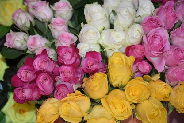 Ramo Hermosas Rosas Sobre Fondo Oscuro Concepto Verano Vista Cercana — Foto de Stock