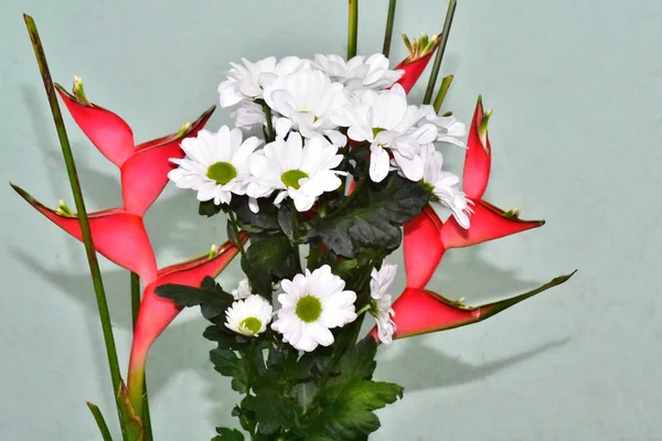Bouquet Bellissimi Fiori Sfondo Scuro Concetto Estivo Vista Vicino — Foto Stock