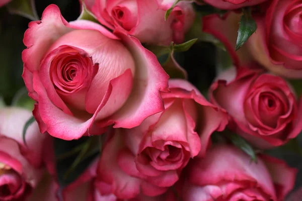 Букет Красивых Роз Темном Фоне Летняя Концепция Близкий Вид — стоковое фото