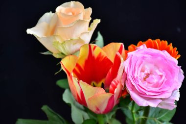 Koyu arkaplanda güzel çiçekler, yaz konsepti, yakın manzara  