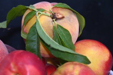 Olgun şeftali yığını, yaz konsepti, yakın görüş  