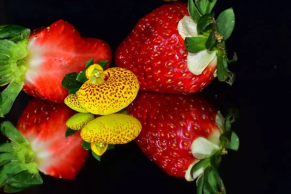 Doce Deliciosos Morangos Com Bela Flor Fundo Escuro Vista Próxima — Fotografia de Stock