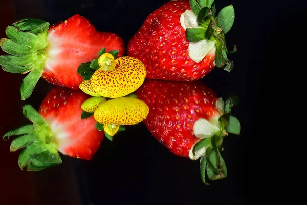 Délicieuses Fraises Sucrées Avec Belle Fleur Sur Fond Sombre Vue — Photo