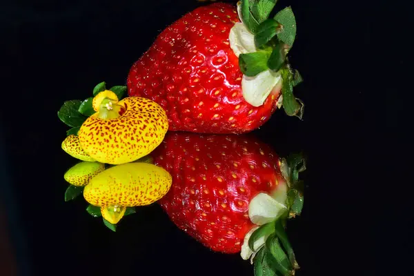甘甜可口的草莓 有美丽的花朵 深色背景 — 图库照片