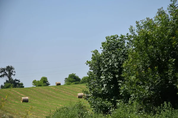 Hermoso Paisaje Rural Campos Verdes Campo —  Fotos de Stock