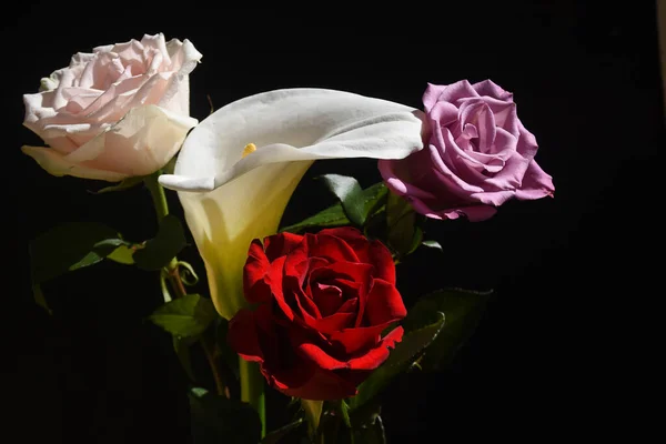 Wunderschöne Rosen Und Calla Mit Tulpe Auf Dunklem Hintergrund Sommerkonzept — Stockfoto