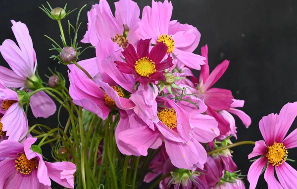 Bouquet Beautiful Flowers Dark Background Summer Concept Close View — Stock Photo, Image