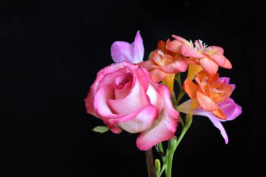 Koyu arkaplanda güzel çiçekler