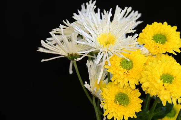 Blumenstrauß Auf Dunklem Hintergrund Sommerkonzept Nahsicht — Stockfoto