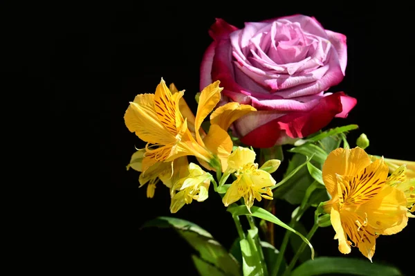 어두운 배경에 아름다운 꽃다발을 이루며 가까이 — 스톡 사진