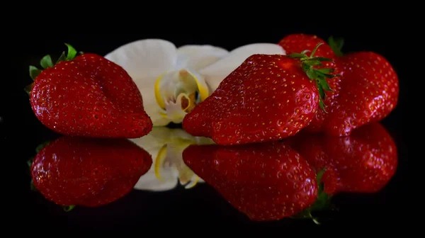 Bellissimi Fiori Orchidea Con Fragole Sfondo Scuro Concetto Estivo Vista — Foto Stock