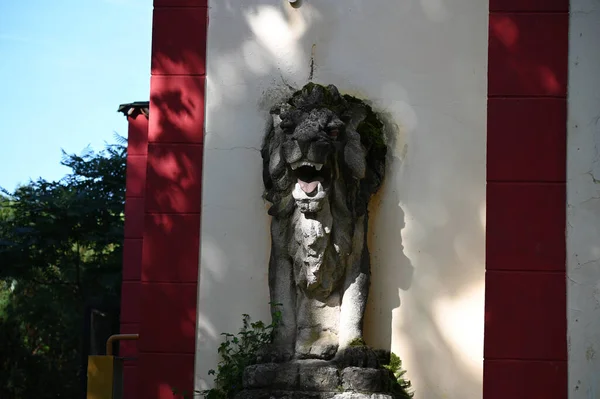 Escultura Leão Parede Branca Durante Dia — Fotografia de Stock