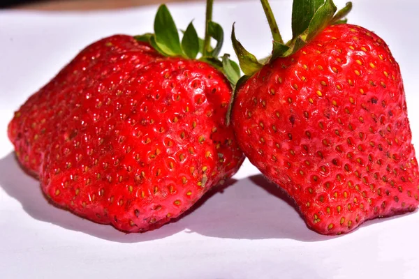 Fraises Délicieuses Sucrées Sur Fond Clair Vue Rapprochée — Photo