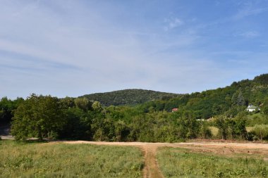 yol boyunca yeşil yaz çayırı boyunca ormanlar mavi gökyüzü arka planında  