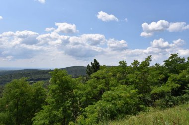 Mavi gökyüzü arka planında yeşil yaz ormanı manzarası 