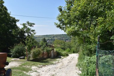 yol boyunca yeşil yaz çayırı boyunca ormanlar mavi gökyüzü arka planında  