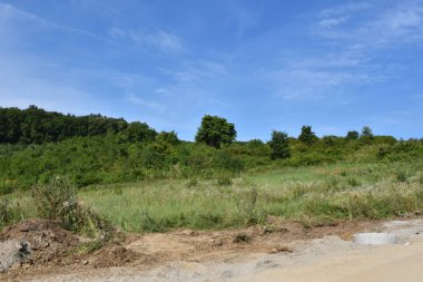 yol boyunca yeşil yaz çayırı boyunca ormanlar mavi gökyüzü arka planında  