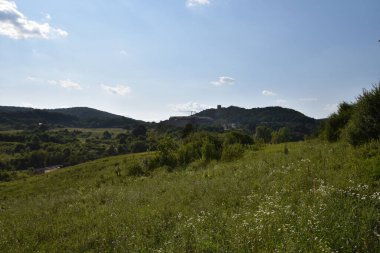 Mavi gökyüzü arka planında yeşil yaz ormanı yakınında bir bina 