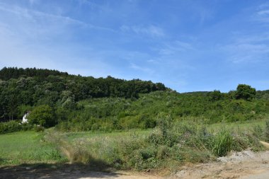 yol boyunca yeşil yaz çayırı boyunca ormanlar mavi gökyüzü arka planında  