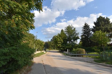 yol boyunca yeşil yaz çayırı boyunca ormanlar mavi gökyüzü arka planında  