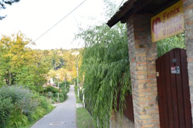 Güneşli bir günde ağaçların ve binaların arasındaki yol manzarası