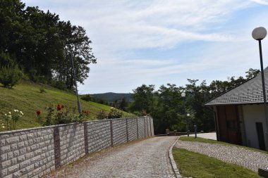 Güneşli bir günde ağaçların ve binaların arasındaki yol manzarası