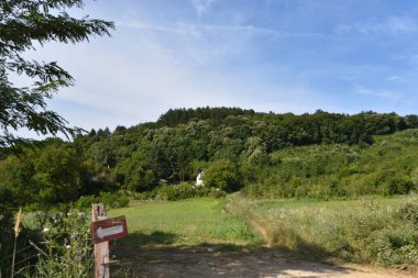 yol boyunca yeşil yaz çayırı boyunca ormanlar mavi gökyüzü arka planında  