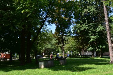 Güneşli yaz gününde güzel bir bahçe manzarası 