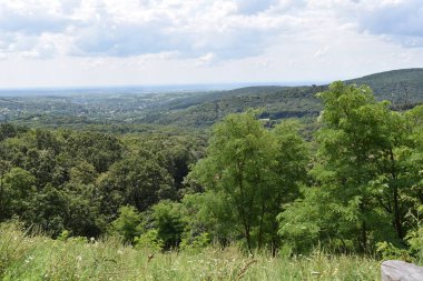 Mavi gökyüzü arka planında yeşil yaz ormanı manzarası 